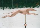 Greyhound