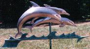 Dolphin Group