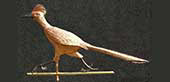 Road Runner 