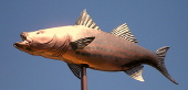 Striped Bass Weathervane