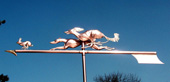 Saluki and Greyhound Chasing a Rabbit